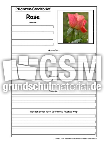 Pflanzensteckbrief-Rose.pdf